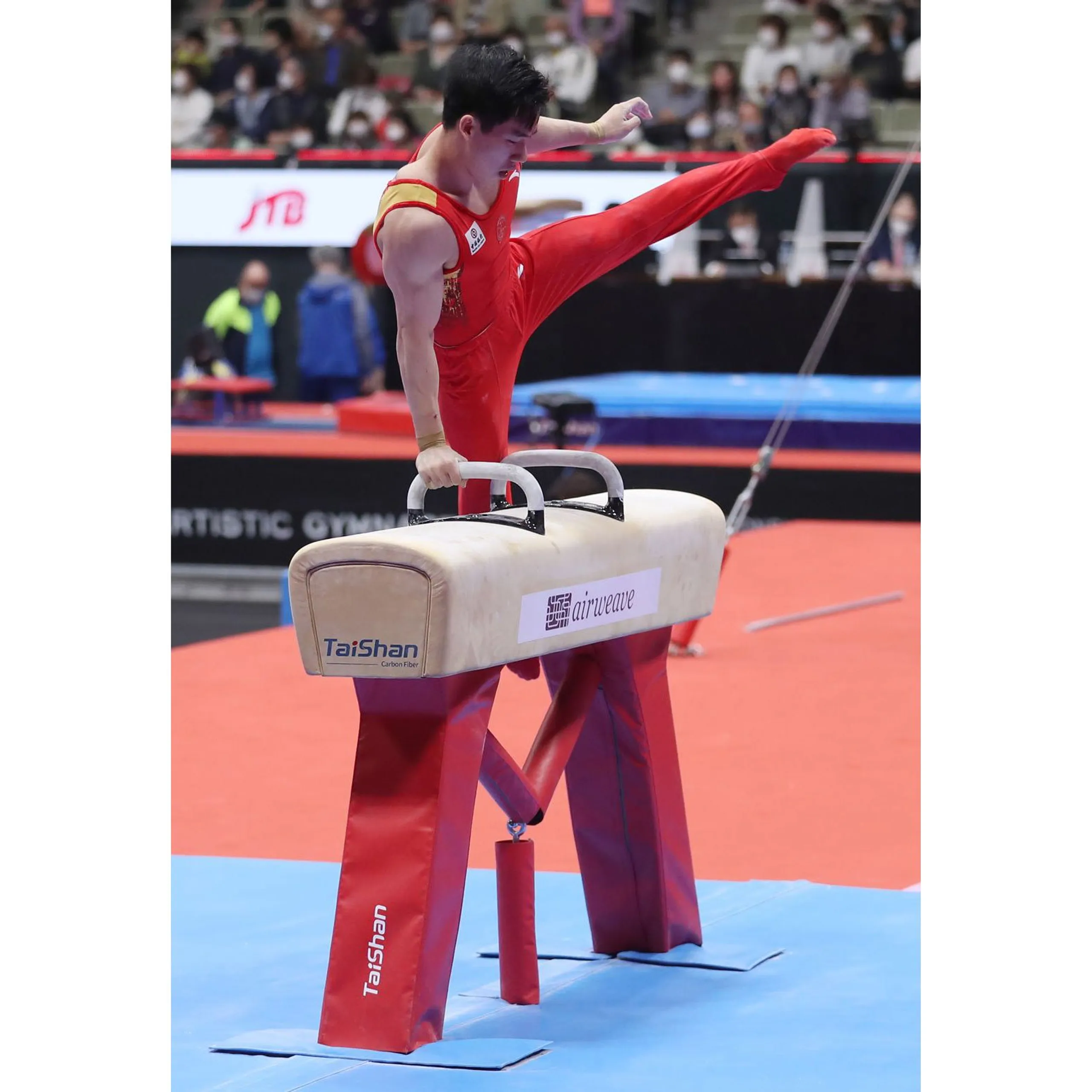 Taishan Competition Pommel Horse