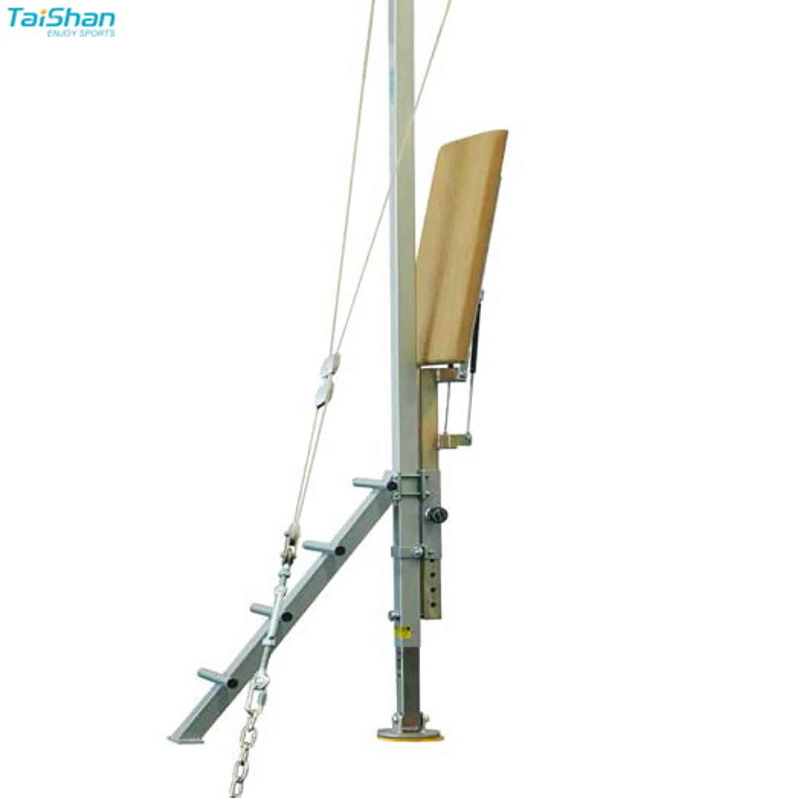 Taishan Ring Access Platform