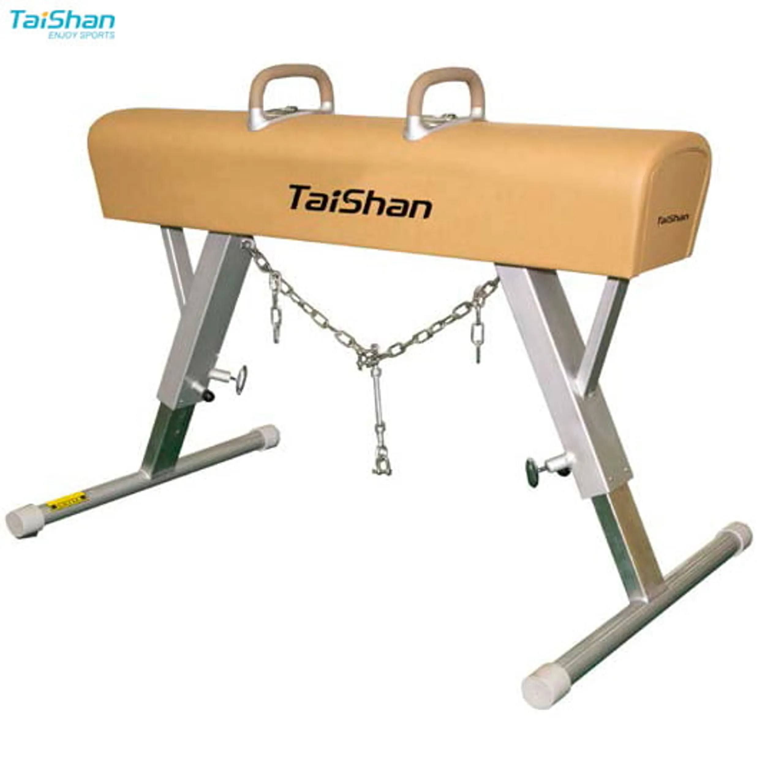Taishan Training Pommel horse