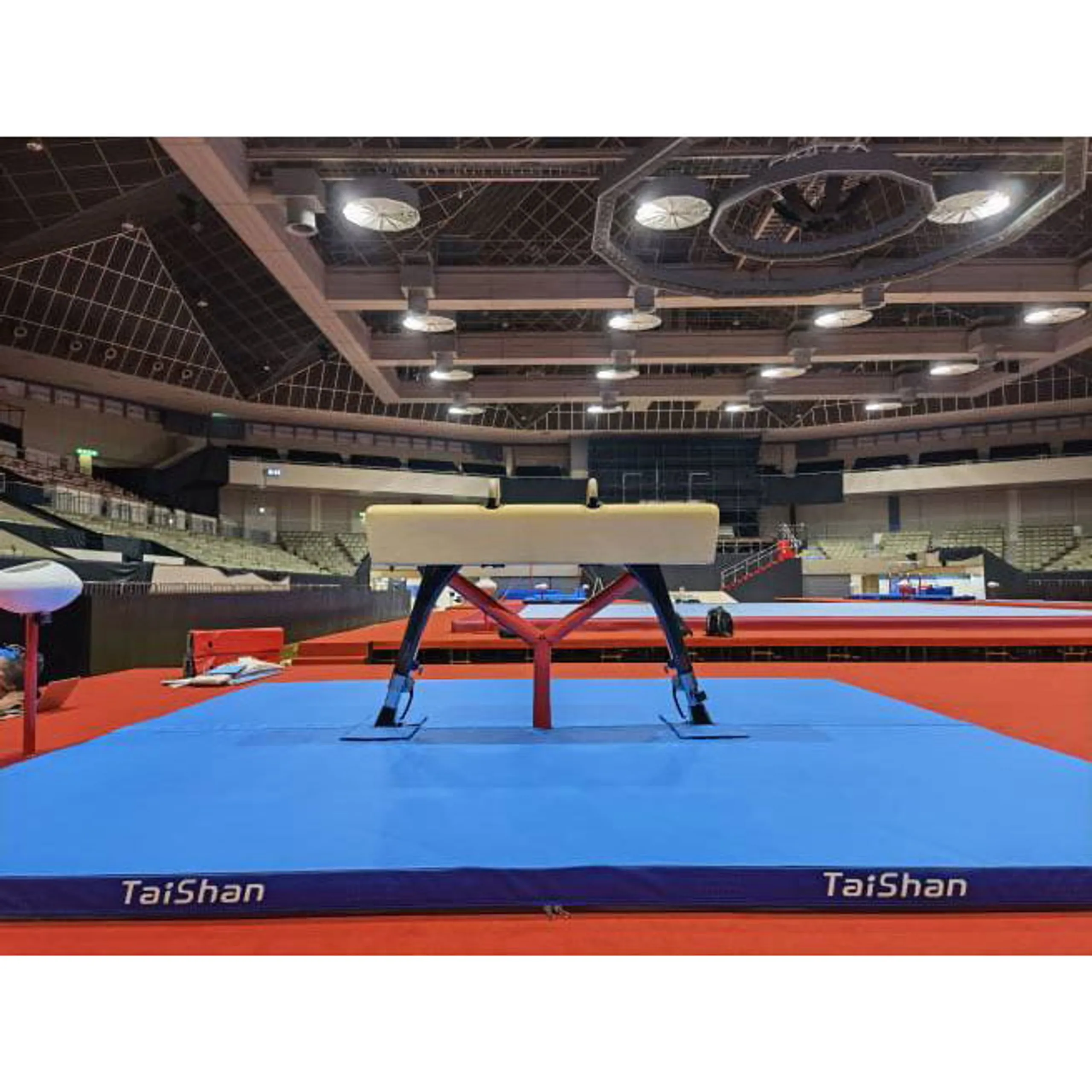 Taishan Carbon Fibre Pommel Horse