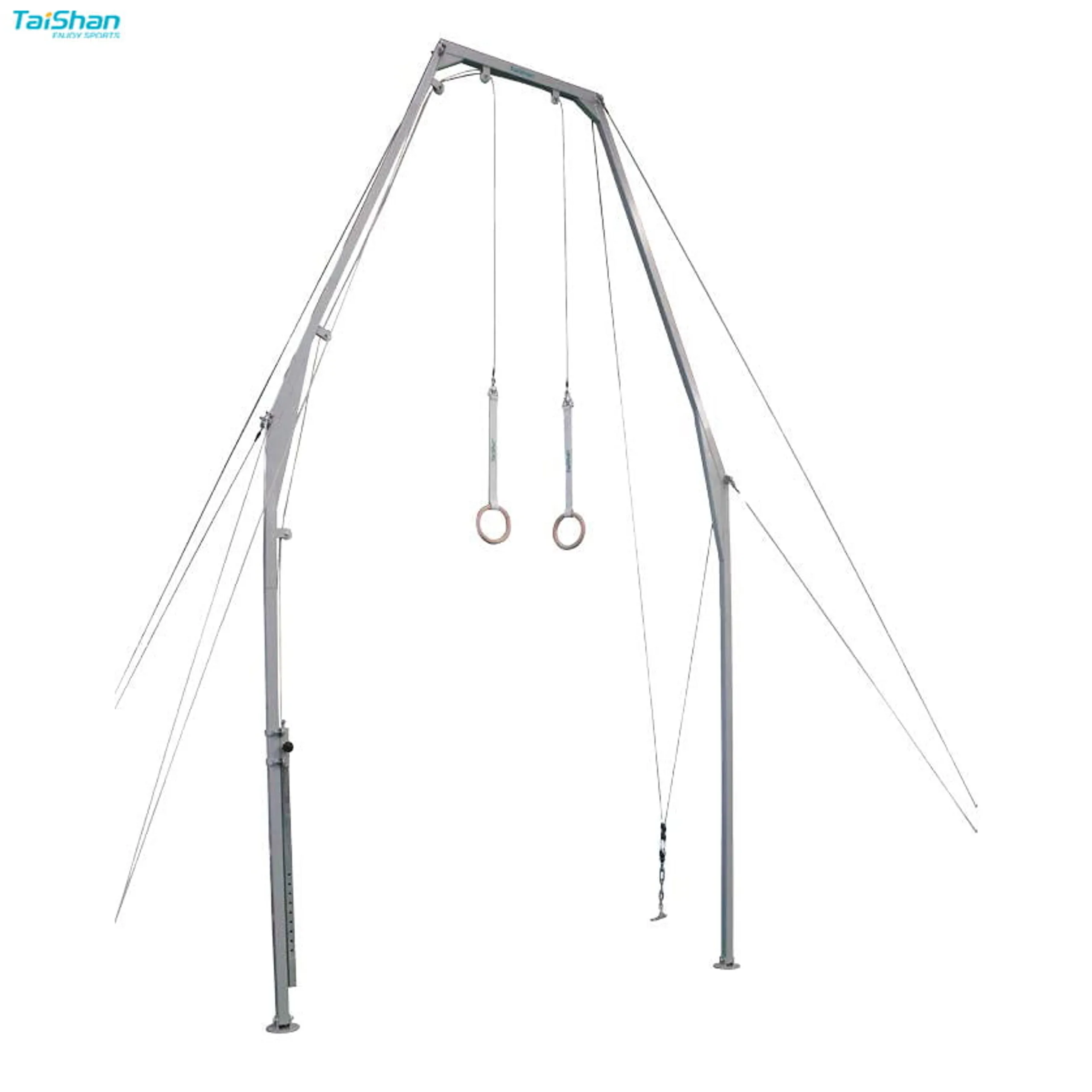 Taishan Training Gymnastics Rings